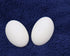 3D Printed 50mm Oval Blank Puppet Eyes .stl file - DIGITAL FILES